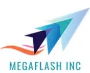 MEGAFLASH INC CO.,LTD